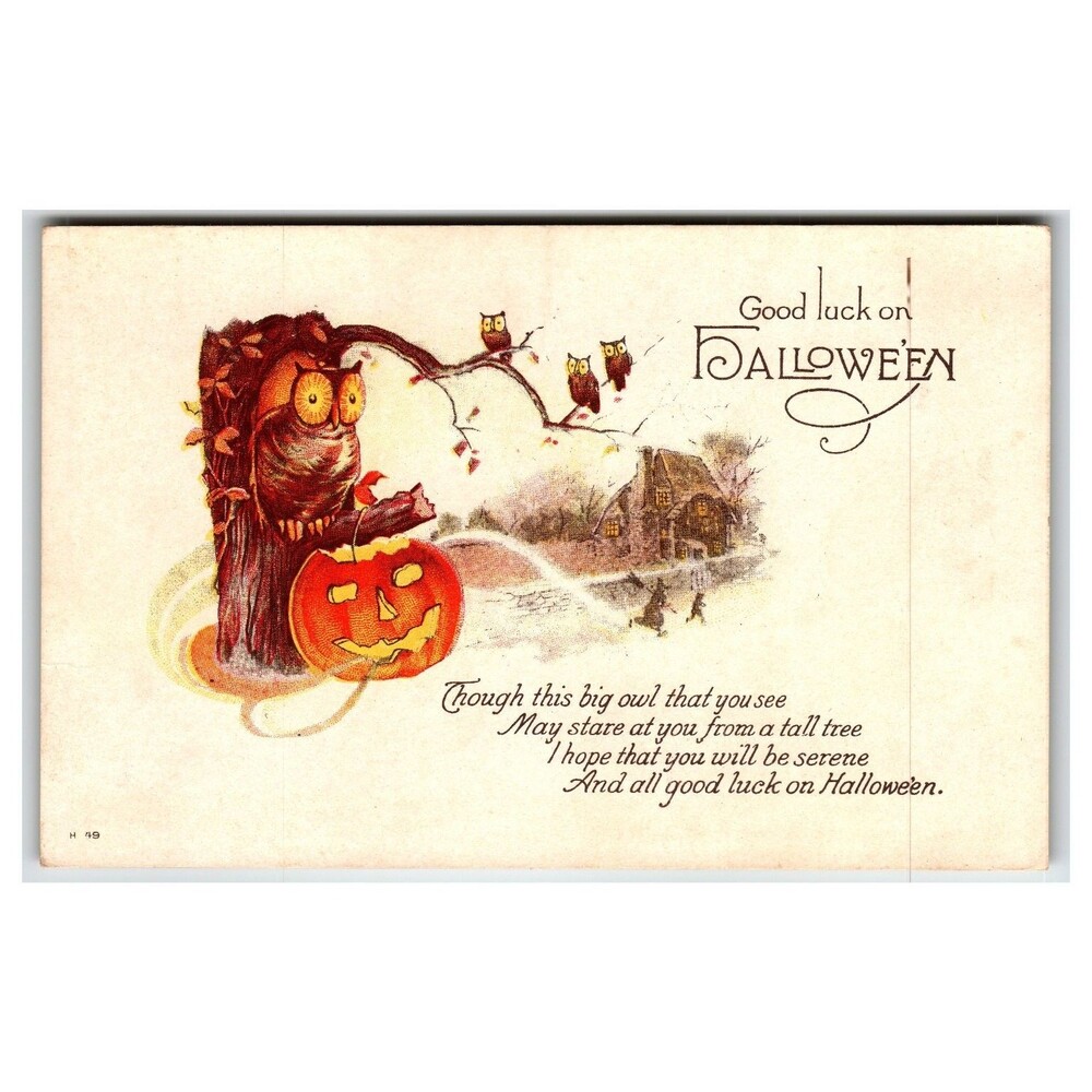 Vintage 1907-1915 Halloween Owl Pumpkin Divided Back Postcard Antique